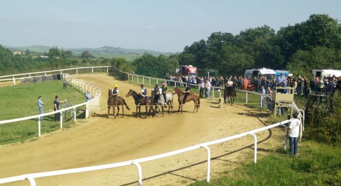 Mociano e Monticiano, piste aperte per la preparazione dei cavalli