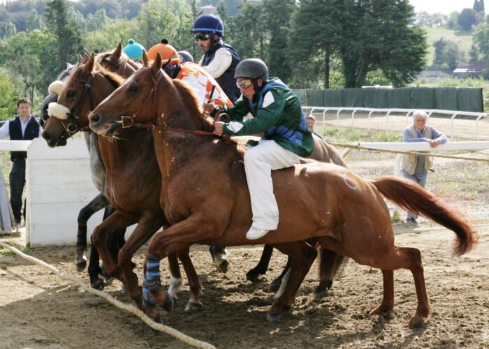 Cavalli da Palio: le date di Mociano e Monticiano