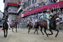 Palio straordinario: il 14 il montaggio dei palchi