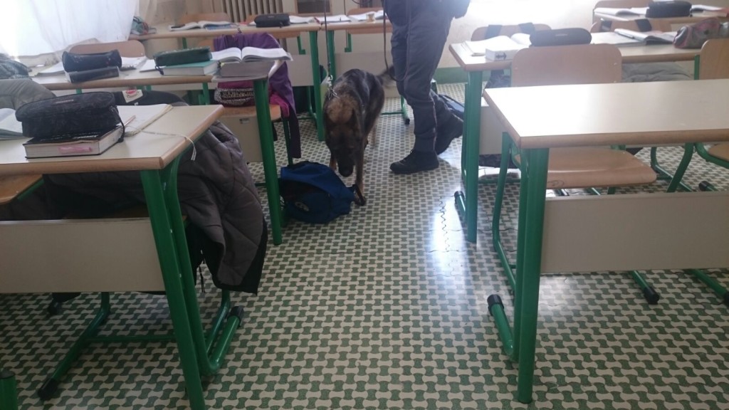 Furto in una scuola elementare a Castelnuovo