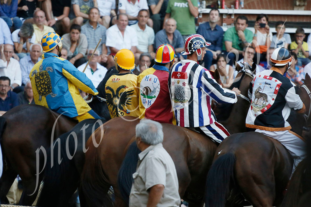 Il Comune aumenta i contributi per i cavalli da Palio