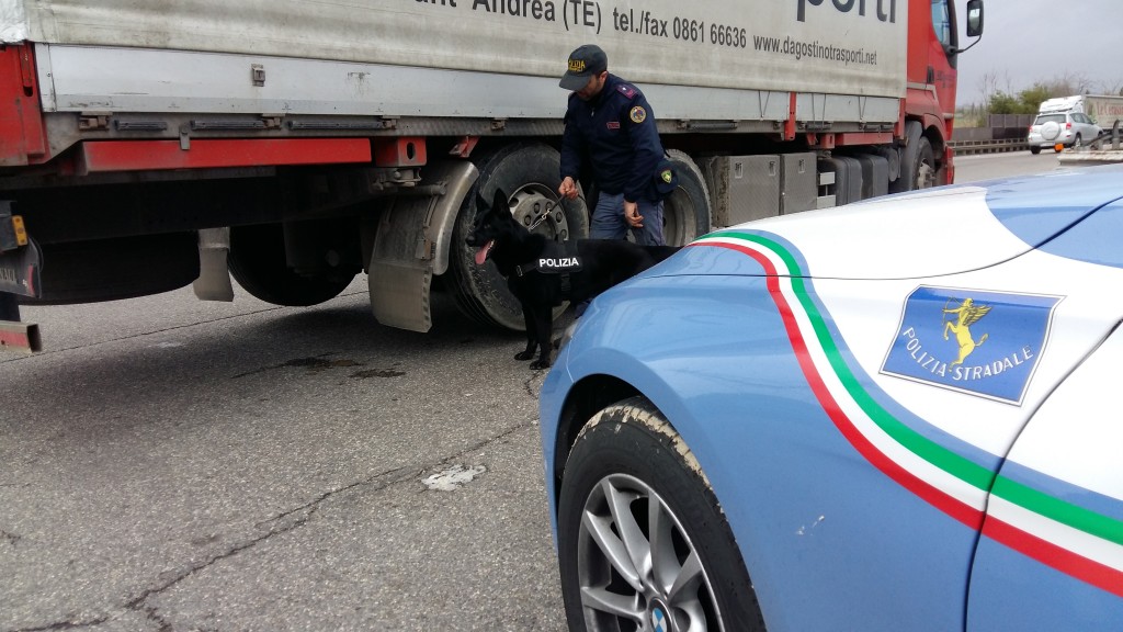 Troppe ore alla guida senza riposare, multato dalla Polizia