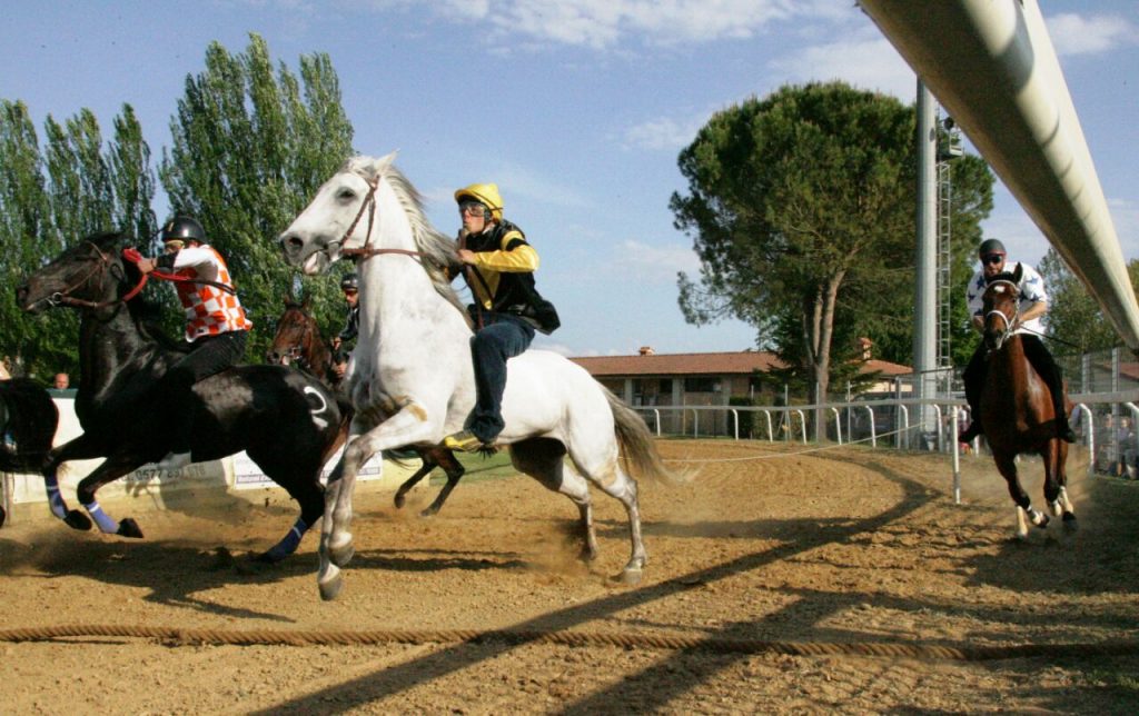 Annullate le corse di oggi a Monteroni