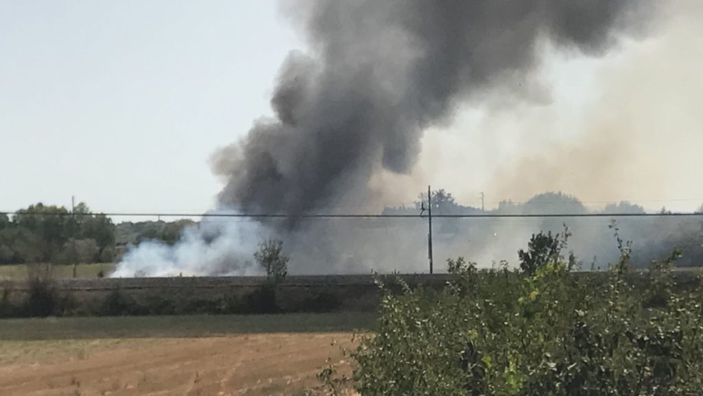 Incendio lungo la superstrada a Sinalunga