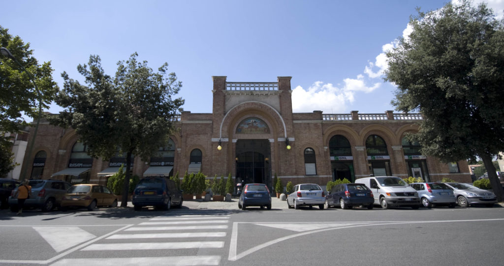 Siena, il Comune sostituirà un leccio in viale Vittorio Veneto