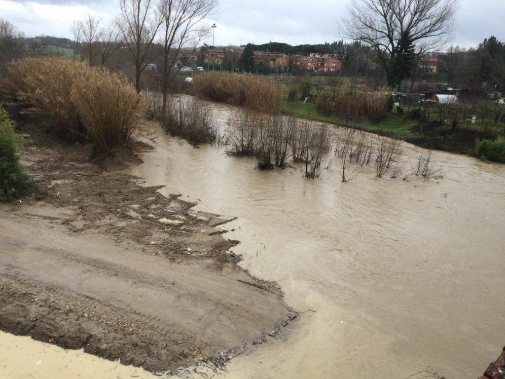 Maltempo, la situazione del fiume Arbia - FOTO E VIDEO