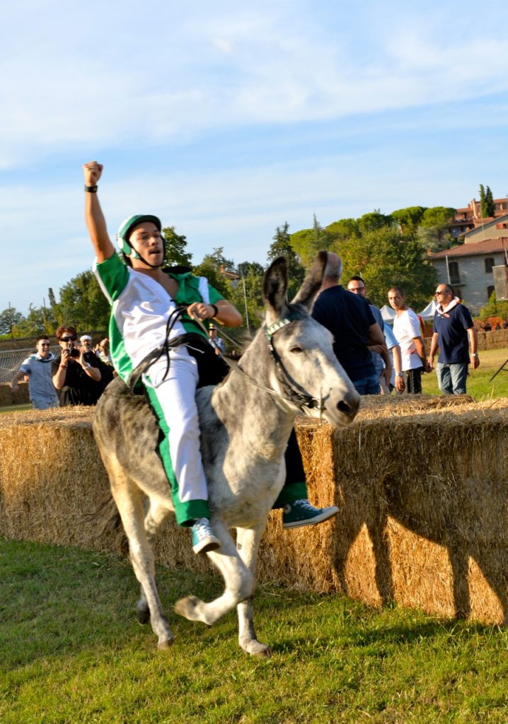 Palio dei Ciuchi di Asciano, vince la contrada Il Prato