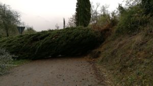 Maltempo, famiglie isolate a Terrensano