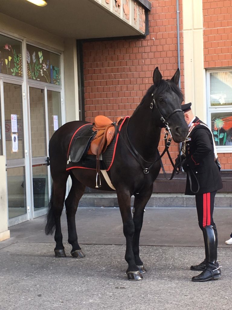 Le Scotte, Carabinieri a cavallo in visita al Dipartimento Materno Infantile (FOTO)