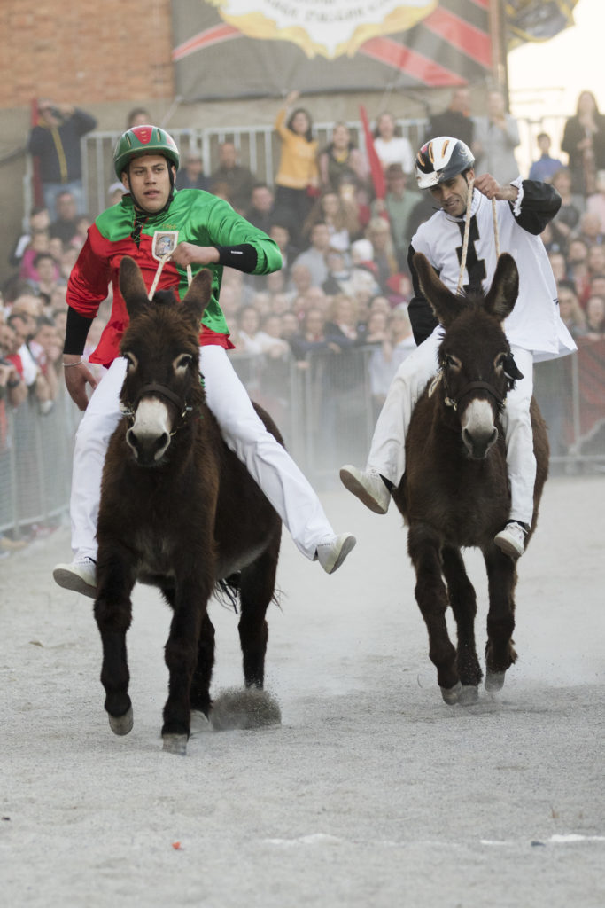 Palio dei Somari di Torrita: vince la contrada Porta Nova