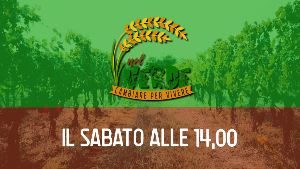 "Nel verde", alle 14 il viaggio tra le piante da frutto antiche