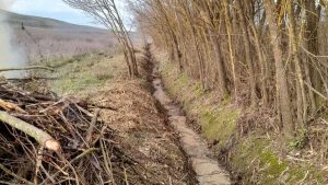 Manutenzione dei fiumi senesi: lavori su un tratto del fosso Podernovo