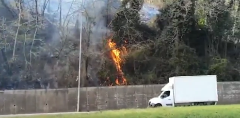 Incendio in strada di Pescaia: intervento dei vigili del fuoco, fiamme sotto controllo