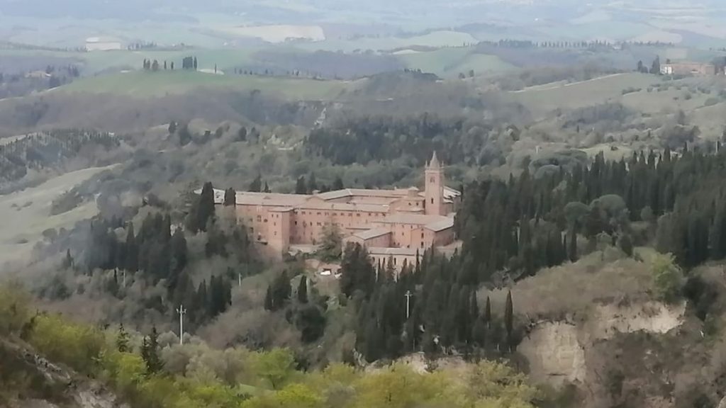 "Nel Verde" alle 14 su Siena Tv: protagonista l'azienda agricola di Monte Oliveto Maggiore