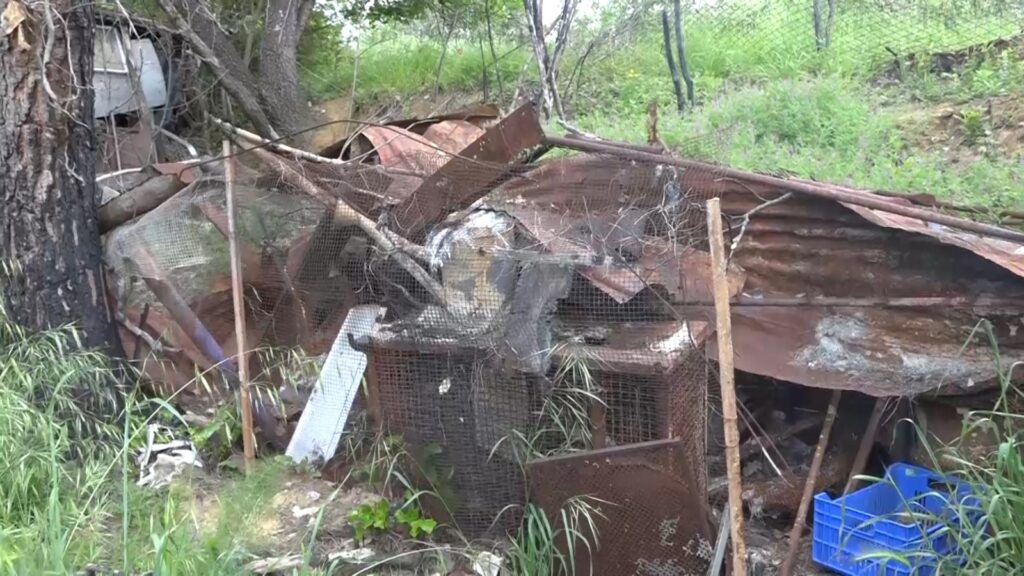 Area verde in via delle Province, da discarica a cielo aperto a zona bonificata