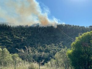 Area boschiva in fiamme tra Castiglione della Pescaia e Punta Ala