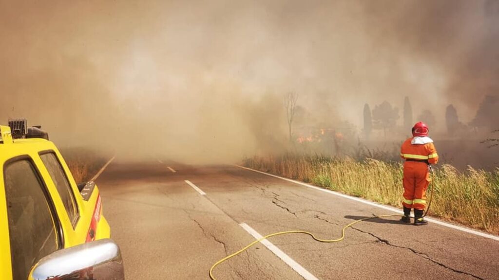 Torna l'incubo piromane: nuovo incendio in Maremma