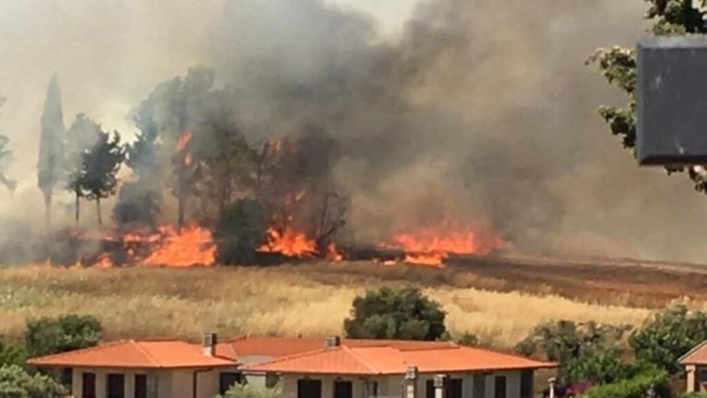 Incendio a Follonica divampato nel pomeriggio