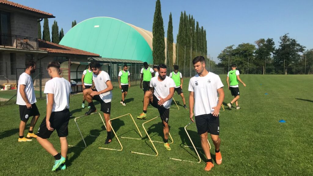 Siena, oggi lavoro di scarico. Domani la risonanza magnetica per Gatto