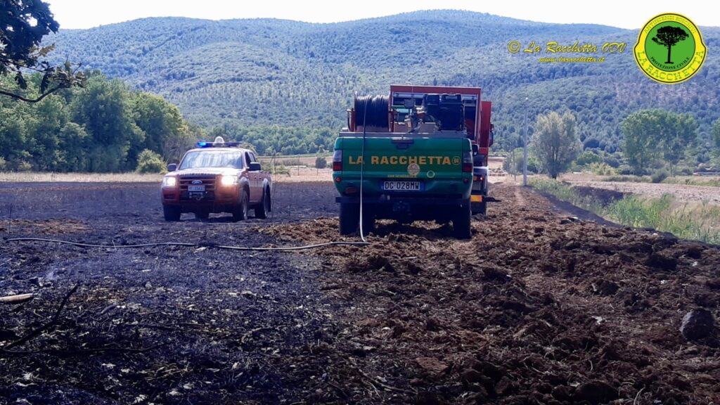 Monteriggioni, domato incendio boschivo in località la Colonna