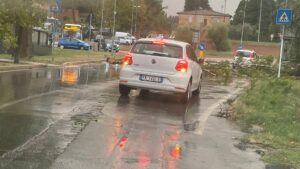 Temporali e raffiche di vento spazzano Siena e abbattono decine di alberi