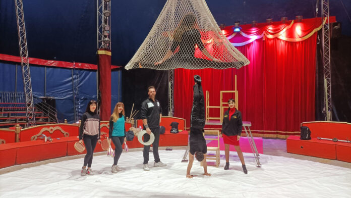 The Circus Busnelli arrives in Siena: many shows until February 13th