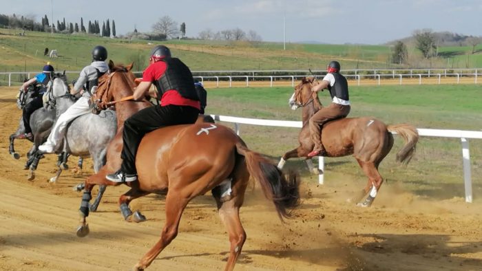 Mociano, secondo giorno di corse: 47 cavalli protagonisti