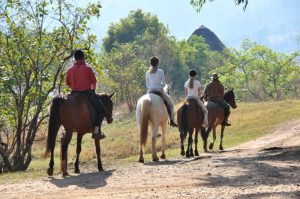 Strade di Siena, sul portale gli itinerari a cavallo