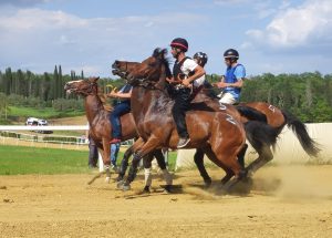 Palio, domani ultimo appuntamento con le corse di addestramento a Mociano