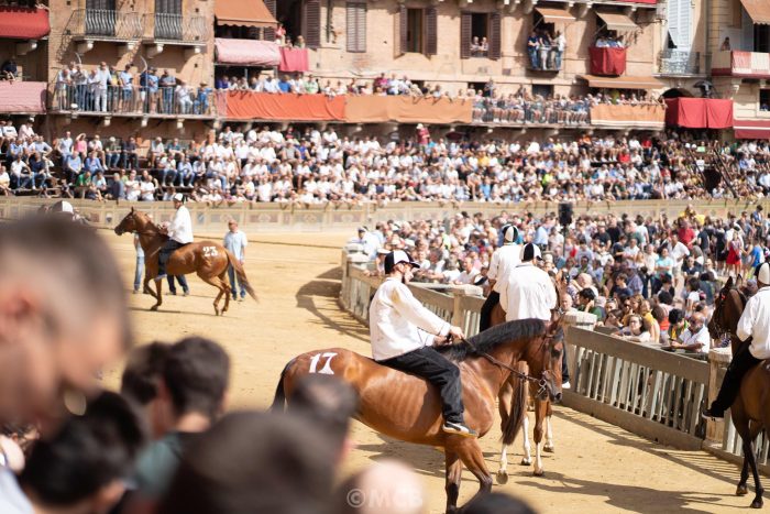 Palio 2 luglio 2023: ecco i cavalli ammessi alla Tratta