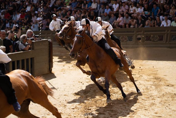 Palio 16 agosto 2023, sono 35 i cavalli ammessi alla Tratta