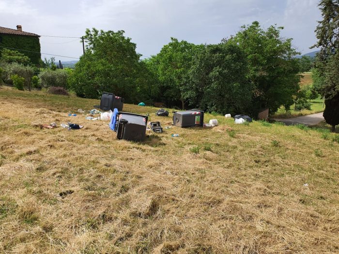 Sovicille: i vandali prendono di mira la frazione di Caldana