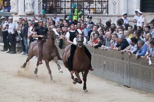 Palio 2 luglio 2023: 72 i cavalli ammessi alle prove regolamentate, 9 direttamente alla Tratta