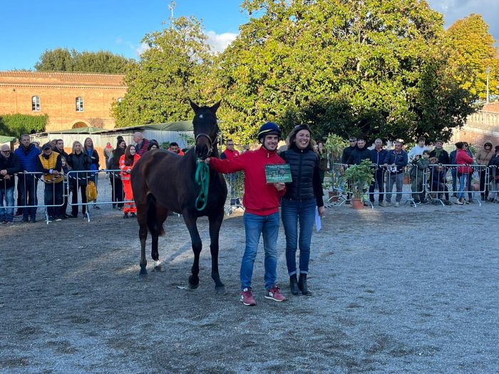 Il cavallo Eliseo vince la prima rassegna di puledri Anglo-Arabi che si è svolta a Siena