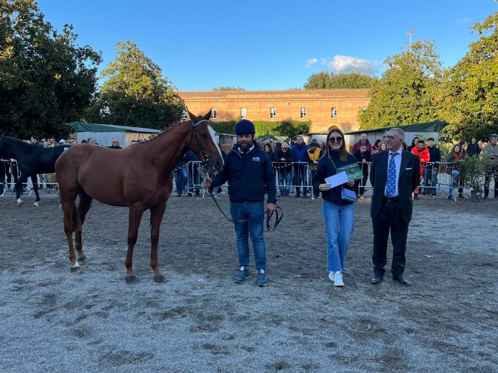 Torna ad ottobre a Siena la rassegna dei puledri anglo arabi