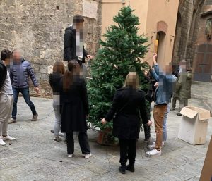 Siena: atto vandalico all'albero della Civetta, il Leocorno condanna il gesto e lo riallestisce