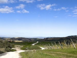 Nasce Montepulciano Active, la rete escursionistica immersa nel Paesaggio Rurale Storico poliziano