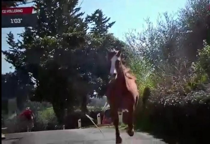 Strada Bianche donne: un cavallo irrompe nella corsa