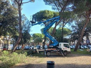 Potature di alberi a Siena, si comincia domani da Taverne d'Arbia e San Prospero