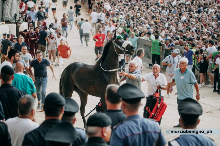 La Contrada dell'Oca vince il Palio dell'Assunta 2023