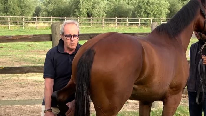 Il Ministero della Salute sceglie i veterinari del Palio di Siena per la tutela del cavallo nelle manifestazioni popolari