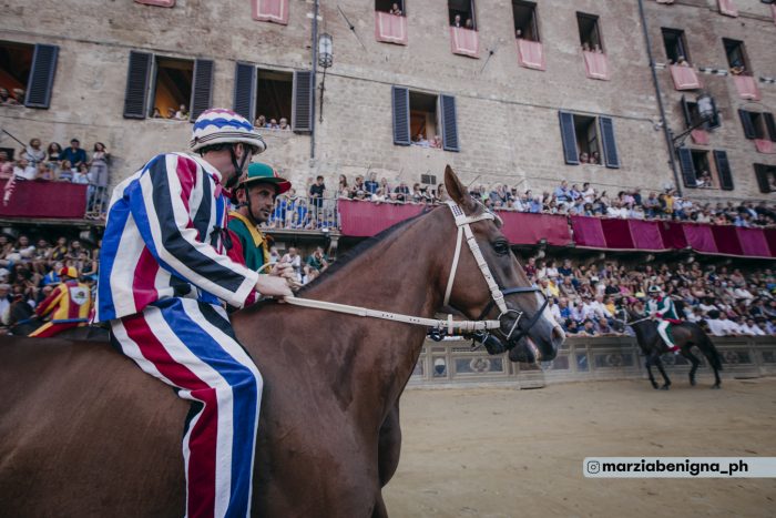 Palio, Antine Day torna a casa. Indennizzo per il proprietario