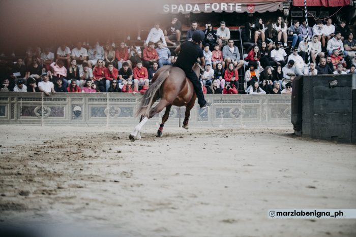 Palio 2 luglio, il programma delle prove regolamentate di domani e venerdì