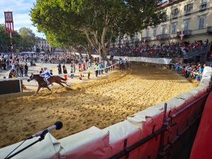 Palio di Asti, prima giornata di prove. Assenti Scompiglio e Velluto che deve scontare una squalifica