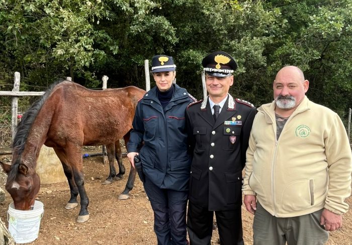 Pensionario dei cavalli da Palio, in cantiere la realizzazione di un Museo