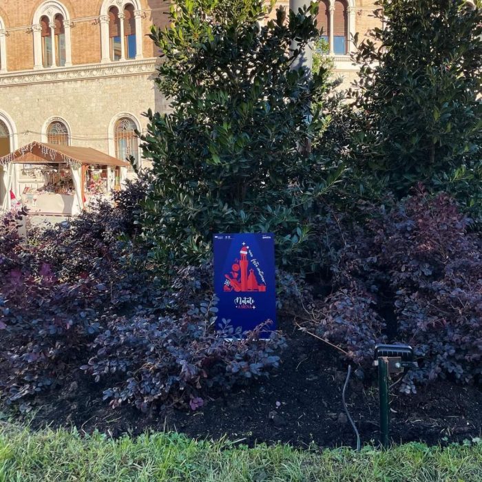 Siena, atto vandalico contro l'aiuola in Piazza Matteotti