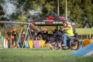 Lorenza Losi e Yoghi ai mondiali di para agility: "Quello che ci fa vincere è l’intesa"