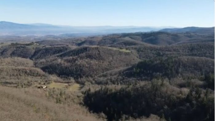 Tutela dei boschi, passeggiata a difesa della Montagnola Senese