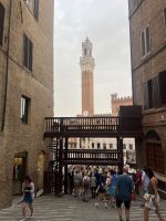 Aria di Palio in Piazza del Campo: montati steccati e palchi