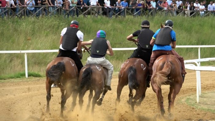 Palio di Siena, ecco i contributi del Protocollo equino 2024